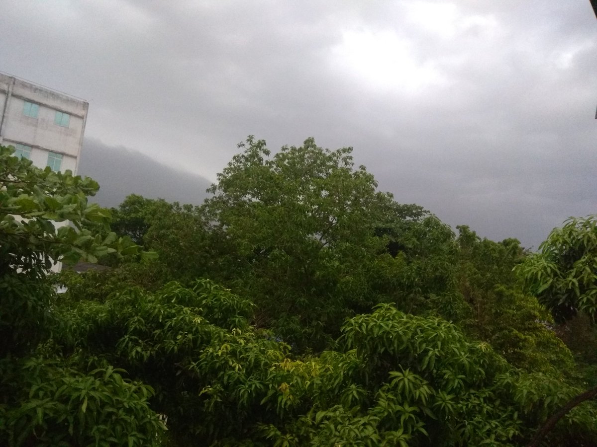 psagarika321's tweet photo. ଆଜି ସେ ସ୍ଥିର କରି ଆସିଛି
ମୋତେ ପକ୍କା ଭିଜେଇବ
କିଏ ବୁଝେଇବ ତାକୁ
ଟିକେ ଓଦା ହେଲେ ଥଣ୍ଡା ଧରିବ
କେମିତି ପ୍ରେମିକ ସେ ଯଦି ସେ
ଏକଥା ବୁଝି ନ ପାରିବ
ଏବେ ସାମାଜିକ ଦୂରତା ବାଲା ପ୍ରେମ
ଛୁଇଁ ଦେଲେ ଟିକେ କରୋନା ଧରିବ
କେତେ ଆଉ ଲୁଚିବି ତାକୁ
ସେ ଯଦି ଏମିତି ନୀତି ଆସିବ
😭
#badlover
#rainislove
#Bhubaneswar👩❤️👨 https://t.co/eya0zclcch