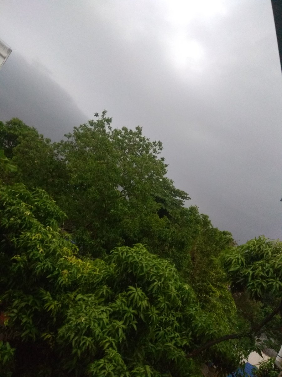 psagarika321's tweet photo. ଆଜି ସେ ସ୍ଥିର କରି ଆସିଛି
ମୋତେ ପକ୍କା ଭିଜେଇବ
କିଏ ବୁଝେଇବ ତାକୁ
ଟିକେ ଓଦା ହେଲେ ଥଣ୍ଡା ଧରିବ
କେମିତି ପ୍ରେମିକ ସେ ଯଦି ସେ
ଏକଥା ବୁଝି ନ ପାରିବ
ଏବେ ସାମାଜିକ ଦୂରତା ବାଲା ପ୍ରେମ
ଛୁଇଁ ଦେଲେ ଟିକେ କରୋନା ଧରିବ
କେତେ ଆଉ ଲୁଚିବି ତାକୁ
ସେ ଯଦି ଏମିତି ନୀତି ଆସିବ
😭
#badlover
#rainislove
#Bhubaneswar👩❤️👨 https://t.co/eya0zclcch