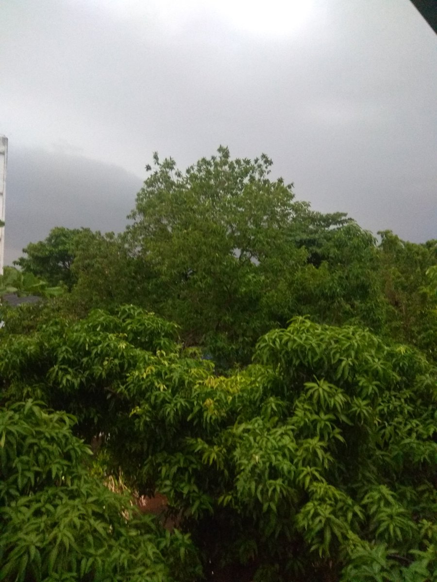 psagarika321's tweet photo. ଆଜି ସେ ସ୍ଥିର କରି ଆସିଛି
ମୋତେ ପକ୍କା ଭିଜେଇବ
କିଏ ବୁଝେଇବ ତାକୁ
ଟିକେ ଓଦା ହେଲେ ଥଣ୍ଡା ଧରିବ
କେମିତି ପ୍ରେମିକ ସେ ଯଦି ସେ
ଏକଥା ବୁଝି ନ ପାରିବ
ଏବେ ସାମାଜିକ ଦୂରତା ବାଲା ପ୍ରେମ
ଛୁଇଁ ଦେଲେ ଟିକେ କରୋନା ଧରିବ
କେତେ ଆଉ ଲୁଚିବି ତାକୁ
ସେ ଯଦି ଏମିତି ନୀତି ଆସିବ
😭
#badlover
#rainislove
#Bhubaneswar👩❤️👨 https://t.co/eya0zclcch
