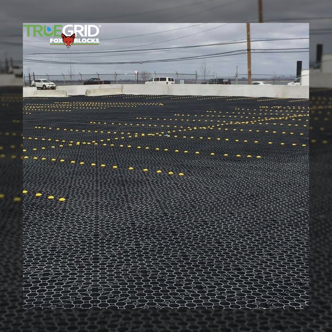 Trusted coast-to-coast in hundreds of commercial &amp; industrial parking lots we understand you have options when it comes to your paving choice. TRUEGRID strives to provide excellent service &amp; an innovative product lineup. Contact our team today for questions or to request a quote!