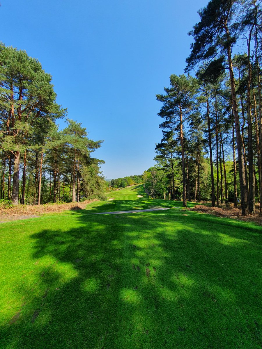 RyanAngear's tweet image. 