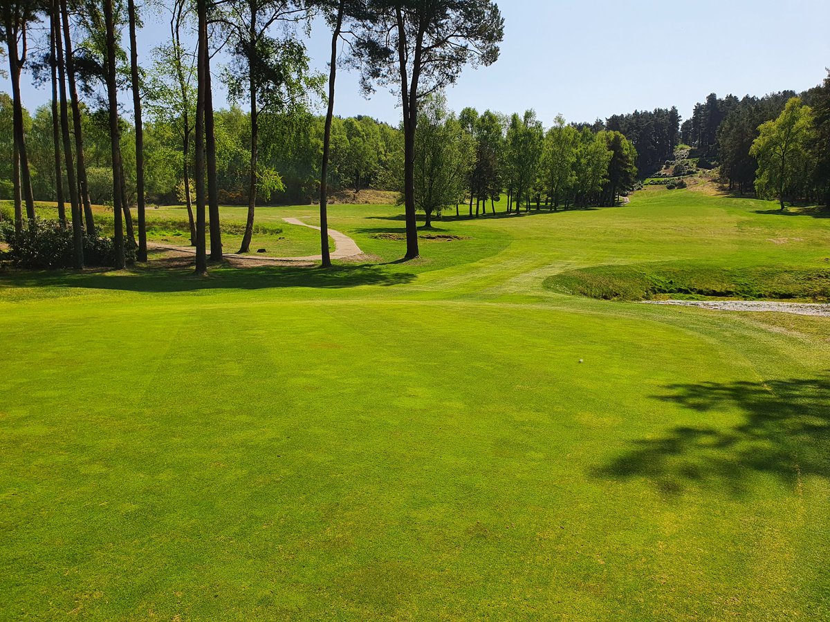 RyanAngear's tweet image. 