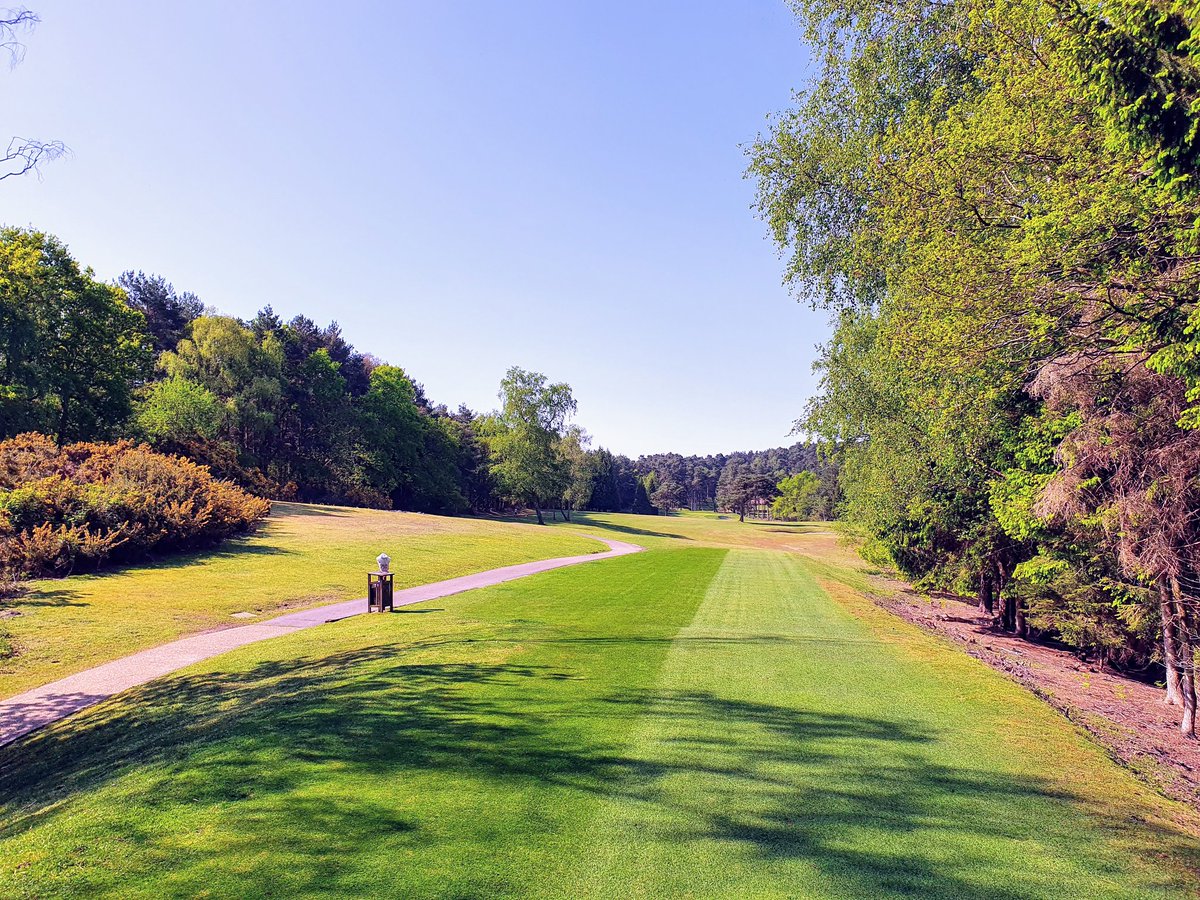 RyanAngear's tweet image. 