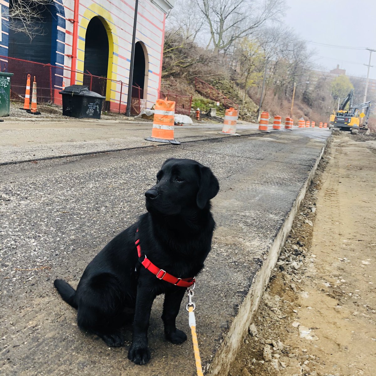 LAND_Gp's tweet photo. Early morning cruise with Norm. Checking out #redlinegreenway progress. Lookin Good! Thank You @clevemetroparks @GCRTA @cleveLANDstudio @RotaryCleveland @ohiocitytweets @KerryMcCormack1 @zonemat https://t.co/CguyTXPkK0