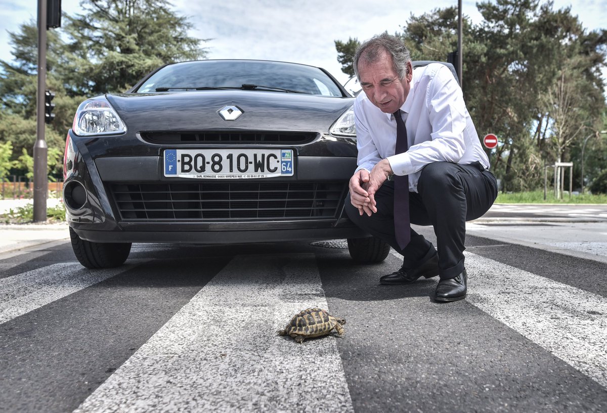 Quentin_TOP's tweet image. François @bayrou et la tortue.
Le berceau d'Henri IV se carapace.
Fable du #confinement 
#Lanaturereprendsesdroits 
@Ville_Pau 
@SO_Pau