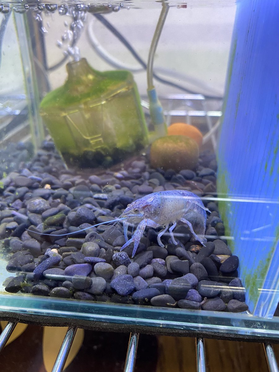 シザー ট ইট র অন সন ধ ন