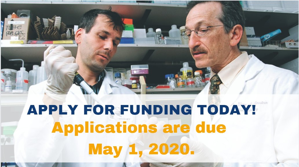 We are accepting applications for education & training awards. These awards cultivate future generations of #rheumatology professionals and ensure people w/ rheumatic diseases have access to care they need. Apply @ rheumresearch.org! #MedStudentTwitter #FutureMD #RheumRFA