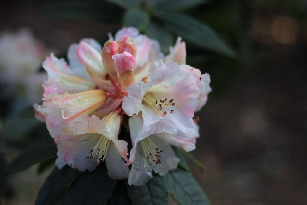 Culture, University of Dundee tweet media