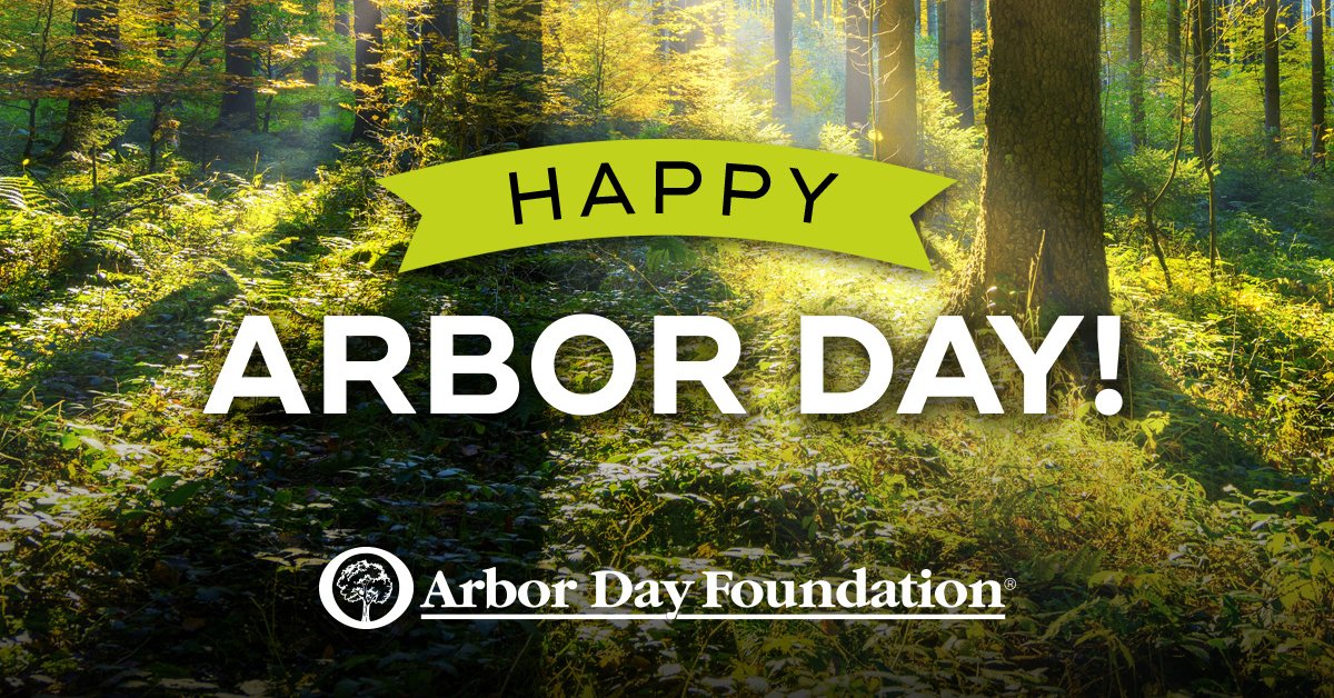 arborday's tweet photo. Happy National Arbor Day! While we may not be celebrating as we did last year, the spirit of the tree planter’s holiday remains strong.

Let’s all take a moment to celebrate trees in our own way! 

#ArborDayAtHome #ArborDay https://t.co/HJQYLuQWax
