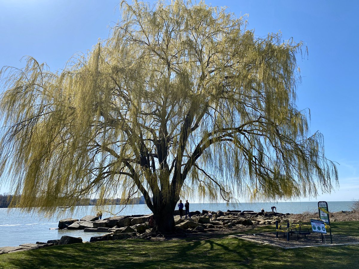 Matt Zone ☮️ tweet media