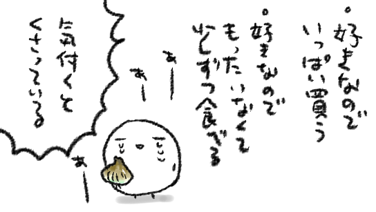 新玉葱…きみはどうして猛スピードでわたしを置いていくんだい… 