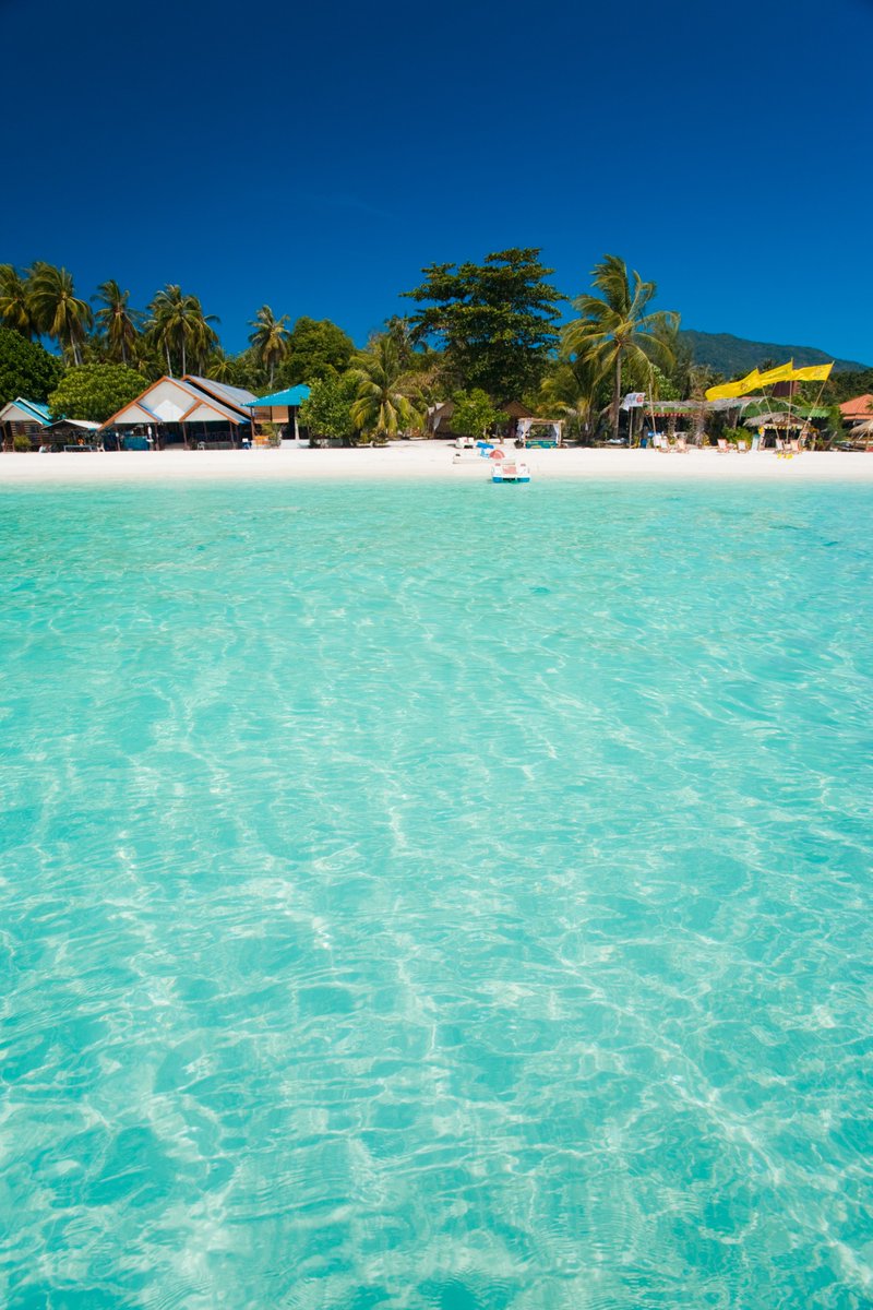 @avantrip tweet media