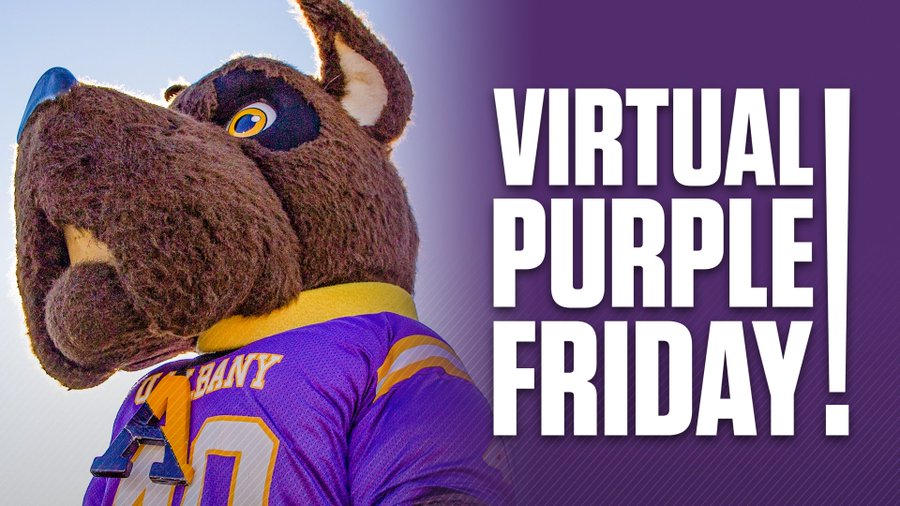 ualbany's tweet photo. Happy #VirtualPurpleFriday, Great Danes! https://t.co/mFcieM3Tj3