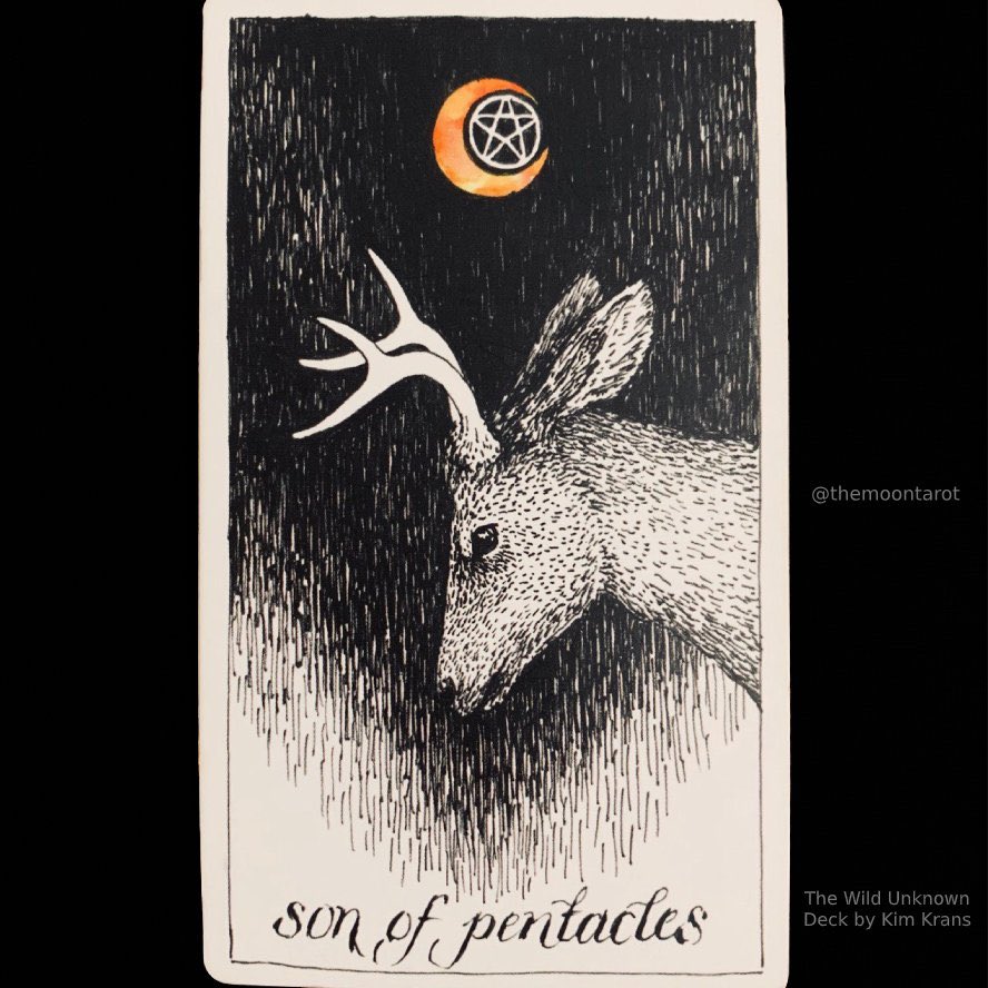 themoontarot_'s tweet photo. Today’s Energy Reading 4/24/20 https://t.co/Vwt7hAVmmX