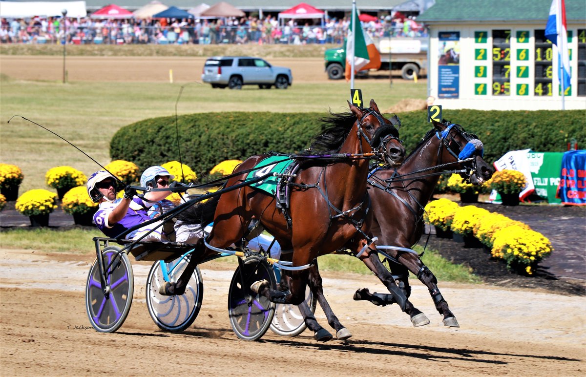 hoosiernations's tweet photo. Good Morning @tonidale_ @Harrison_LeVan @FastPace710 @TheBurgh12 @Chris_wponies @rebelsart @kimberlymoier @KathleenBaitzel @dolenski_john @elliotgordon2 @SadandSulk @vnssa926 @BradA53472906 @chasewatiker @HankLeVan @jmelanie17  #BargainShopper #DanNoble #CousinLouie #ChrisPage https://t.co/S4cwKKBeuJ