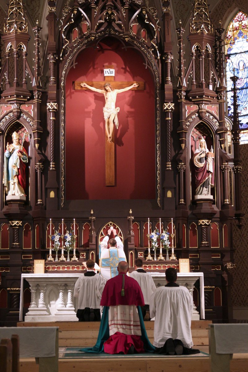 4. “I hope and pray…that in the future the Tridentine Mass will be reinstated as the official liturgy of the holy Mass in the Western Church.” (Charitable Anathema, 33)