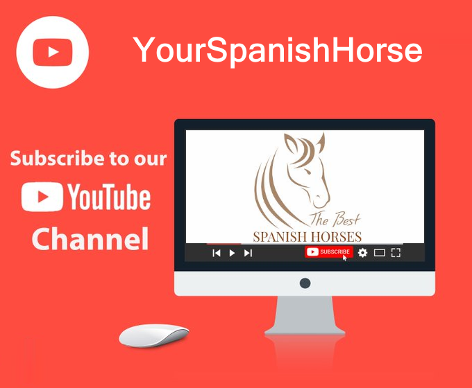 spanishhorses's tweet photo. 🇪🇸 Subscribe to our YouTube channel 🇪🇸
https://t.co/viyfm5TbBG
#Subscribe #SubscribeToChannel #SubscribeToYouTube #SubscribeYouTube #horse #horses #horselover #besthorse https://t.co/6C8IlcV3Lr