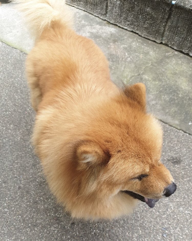 🥺