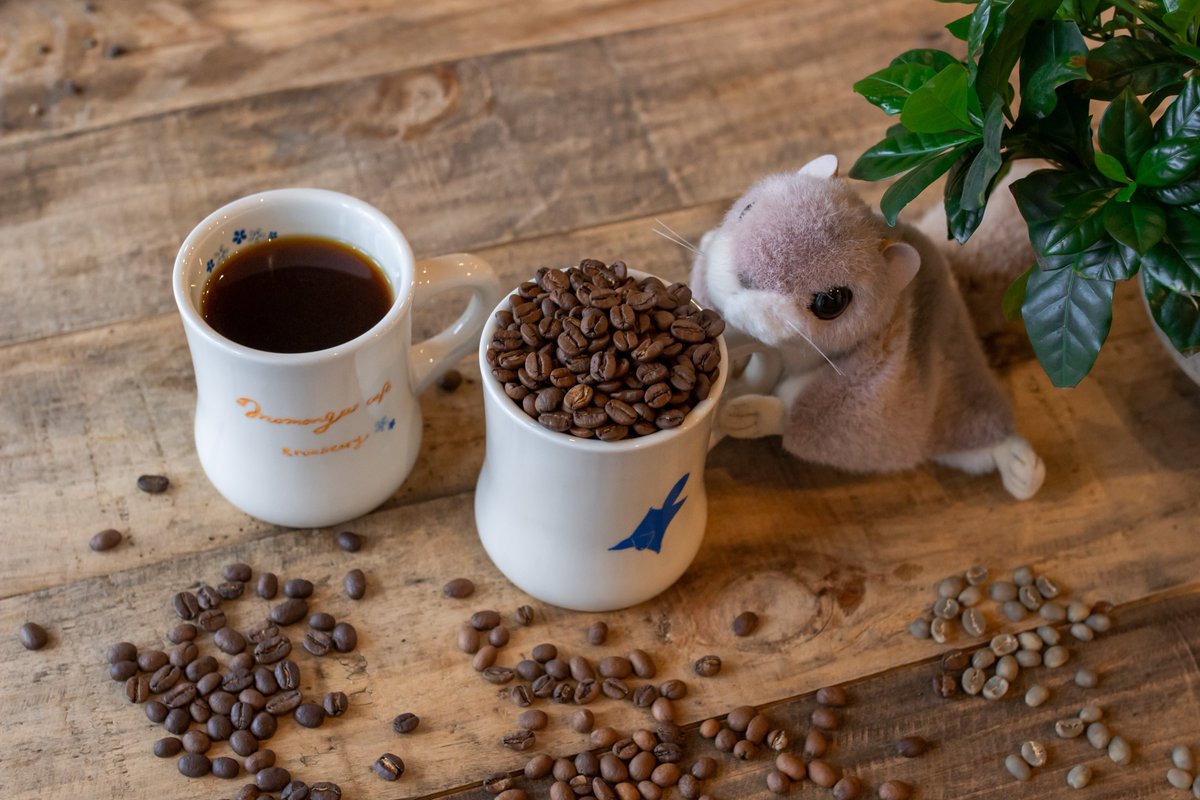 ট ইট র ももんがカフェ ロースタリー 本日も コーヒー豆とお持ち帰りが大人気 コーヒー豆とテイクアウトがすごい人気です コーヒー 豆はすでに記録的 爆発的な人気です ご自宅でコーヒーを楽しまれる方が多いことを感じました 土曜日もたっぷり用意 ট ইট র ももんがカフェ ロースタリー 本日も コーヒー豆とお持ち帰りが大人気 コーヒー豆とテイクアウトがすごい人気です コーヒー 豆はすでに記録的 爆発的な人気です ご自宅でコーヒーを楽しまれる方が多いことを感じました 土曜日もたっぷり用意