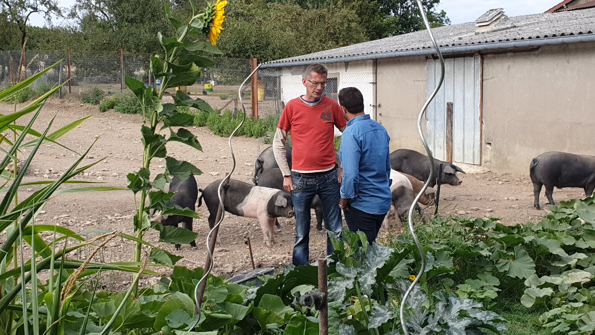 2capsproduction's tweet photo. Ce dimanche 12h55 sera diffusée sur @France3tv GrandEst 📺 l'émission inédite #SurprisesEnMeuse🍊😊 l'occasion de revenir en photos sur notre tournage #PourquoiChercherPlusLoin en septembre dernier (!)🎥 #Mirabelles🍊 #CanoëCochons🐷 #ParcoursForêt🌳 #BatailleVerdun🎖️ https://t.co/DsX5qJLslI