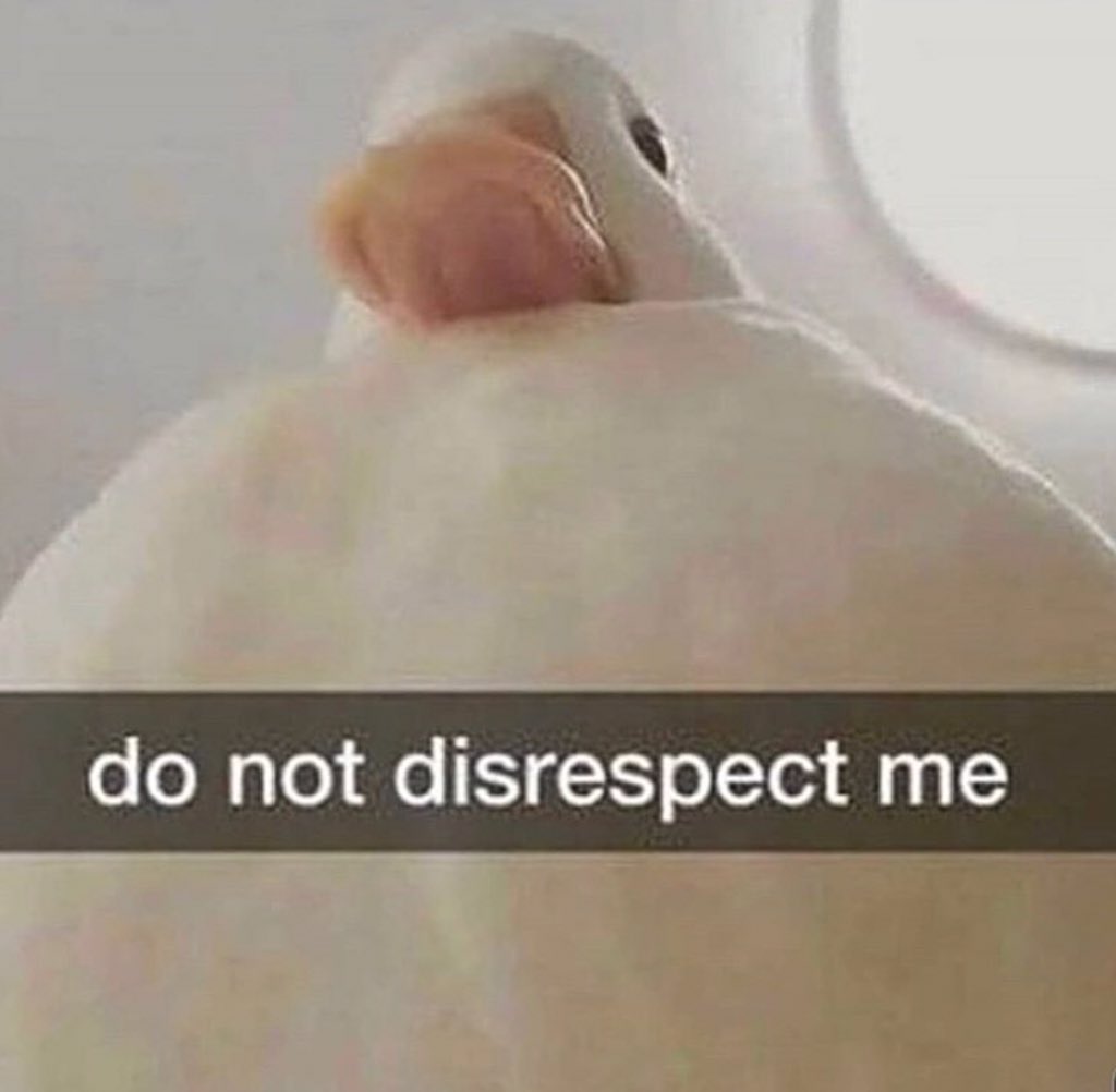 BitesAlice's tweet image. 