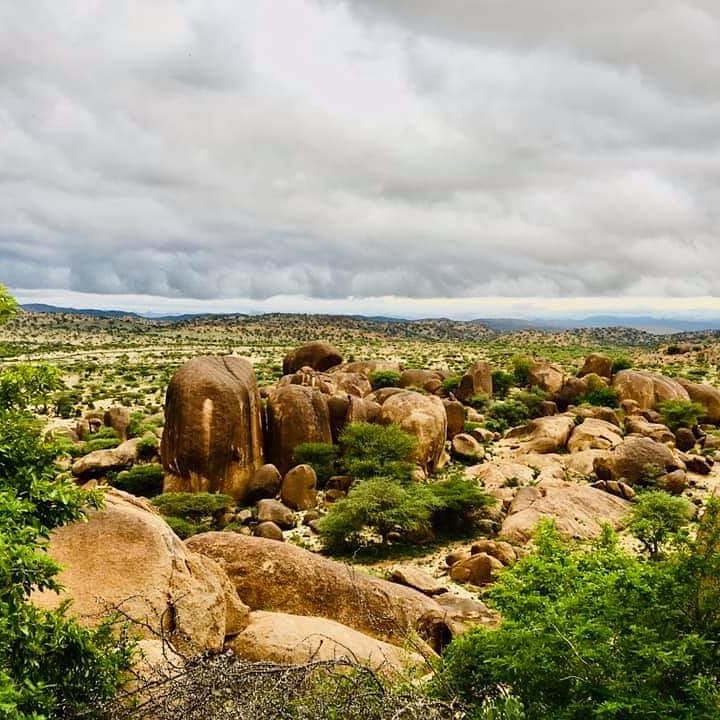 JimcaleKhalid's tweet photo. #Dhagax #guure #Arabsiyo #Gebiley #region #somaliland https://t.co/jruTGzc7w4