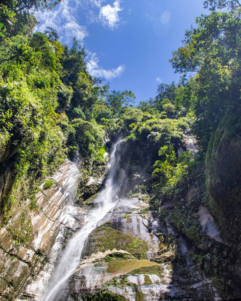 VillavoElMeta's tweet photo. ¡La inmensidad de bellezas que nos brinda el Meta son un orgullo! 🏞️
 #meta #llanos #villavicencio https://t.co/zgFt6ffxcZ
