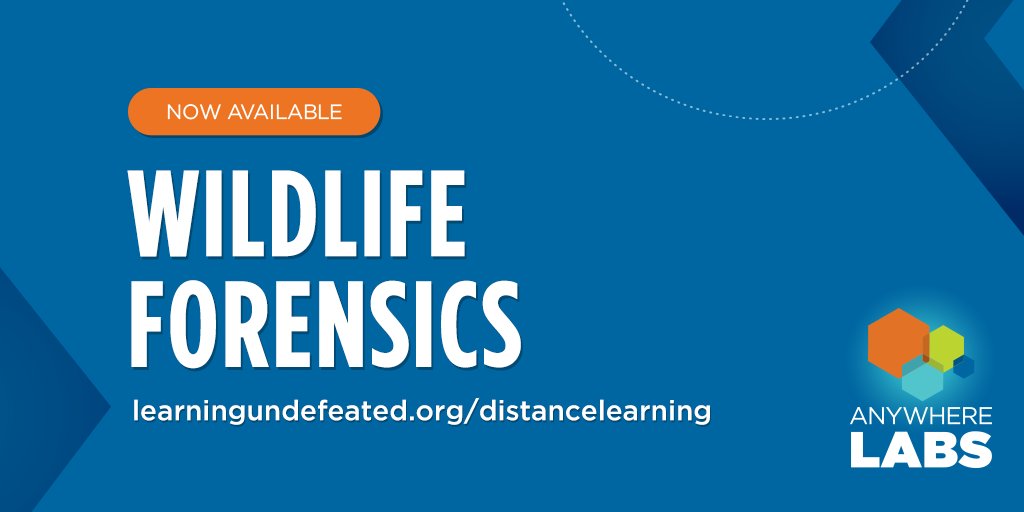 LearningUNDFTD's tweet photo. In today’s #distancelearning activity students can analyze DNA extracted from unknown shark fins in order to see if the fins were poached from a protected species of shark, suitable for grades 6-12. Check it out: https://t.co/EdyQK8CM4K
#Genetics #Forensics #EnvironmentalScience https://t.co/lP0EaxbaJJ