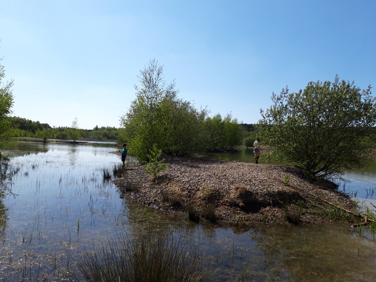 Bentley woodland created by <a href="/HomesEngland/">Homes England</a> and managed by <a href="/thelandtrust/">The Land Trust</a> is our kockdown playground. #Greatful for this space. Pond dipping for homeschool today. #StayHomeSaveLives
