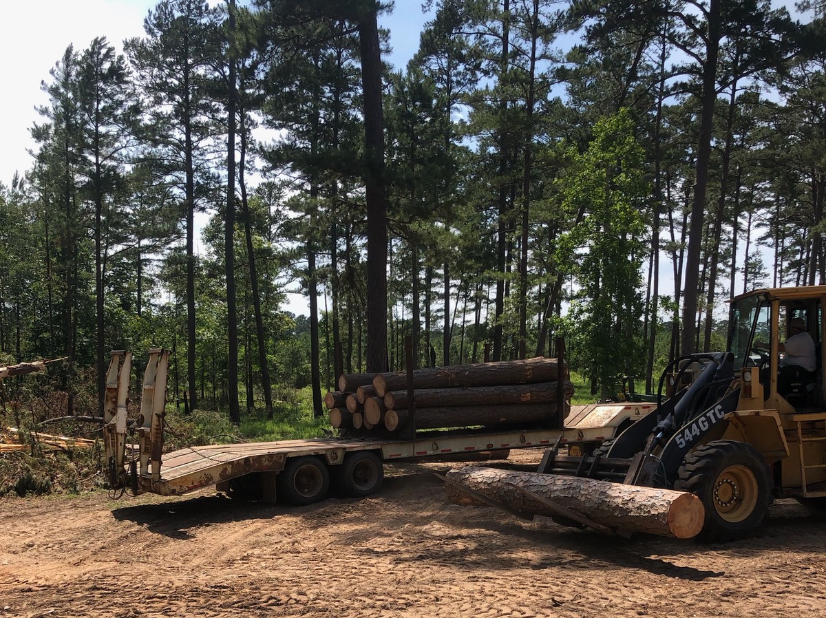 TXForestService's tweet photo. Wood-based industries create thousands of jobs and generate billions of dollars in economic impact in Texas. We work to identify and promote innovation and new technologies in support of forest-based economic development. 🌲 Learn more at https://t.co/uTkeUe1Pmy #txforest https://t.co/TgGjv6DYJx