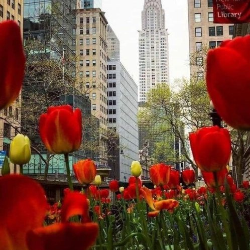 Liyma Isha 🇺🇸 (@ishaliyma) on Twitter photo 