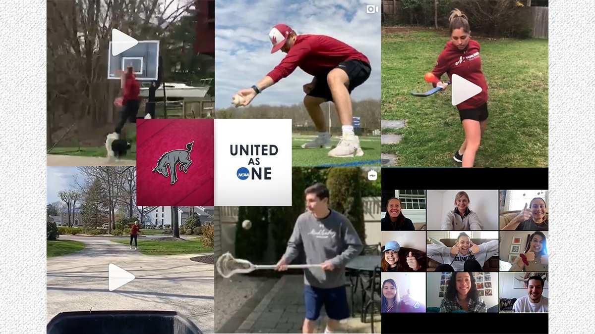 Muhl_Sports's tweet photo. 22 Sports - 1 Team
A look at how #Muhlenberg athletes and teams are staying connected - through challenges, juggling videos and Zoom meetings - even when they're required to be physically apart. 
https://t.co/GUsd1mkioQ
#UnitedAsOne @NCAADIII @CentennialConf https://t.co/M1B1roTKWA