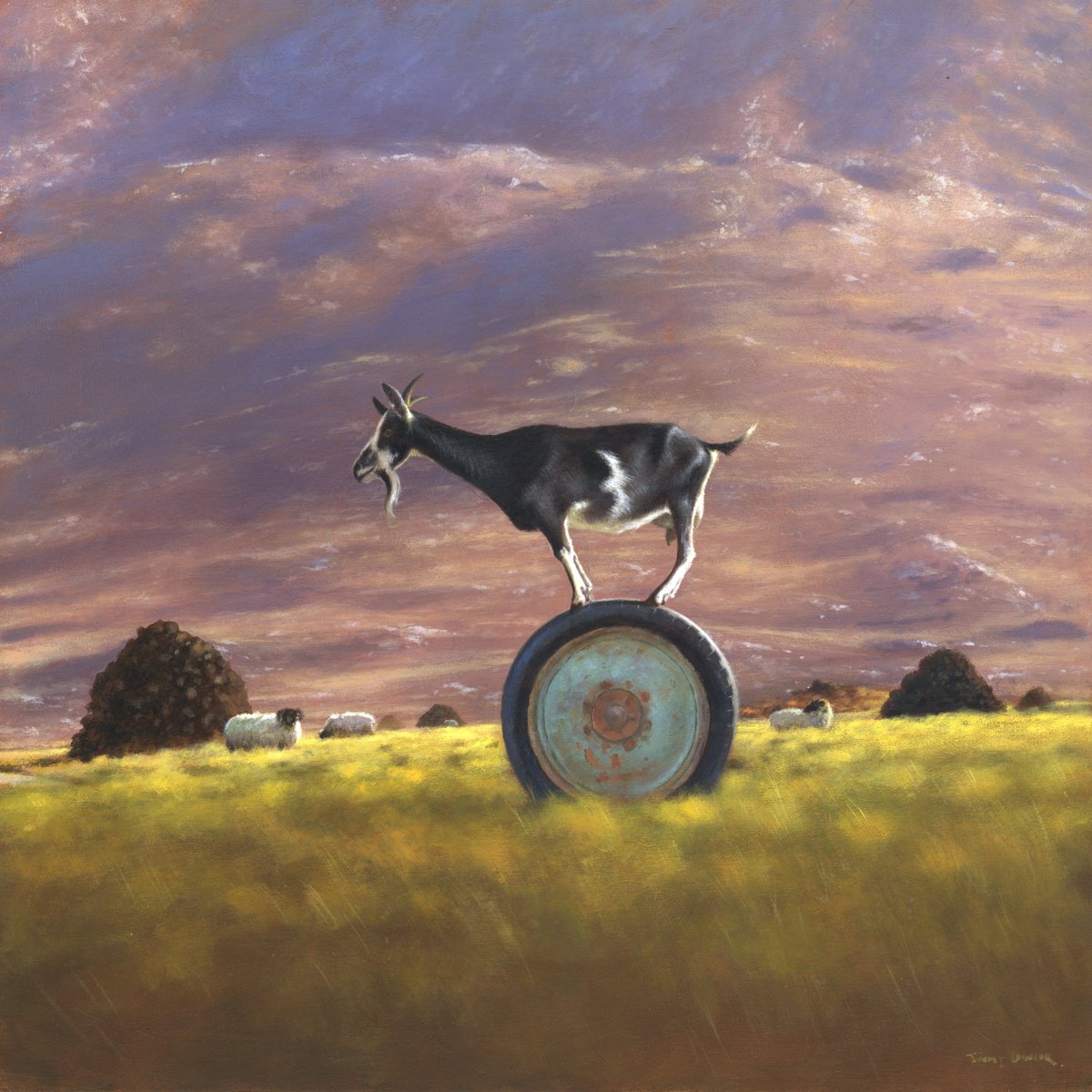Jimmy Lawlor tweet media