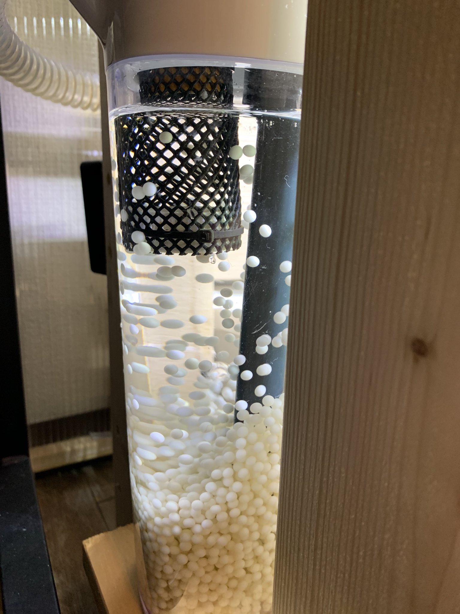 Rota 自作流動フィルター 1 2ヶ月でコケってしまう あらかじめ用意しておいた外装 麦茶ポット に交換し コケった方は掃除して次回へ 下水処理の流動床ならまだしも アクアリウムの流動フィルターはエビデンスちっともなくね Rota 自作流動フィルター 1 2ヶ月でコケってしまう あらかじめ用意しておいた外装 麦茶ポット に交換し コケった方は掃除して次回へ 下水処理の流動床ならまだしも アクアリウムの流動フィルターはエビデンスちっともなくね