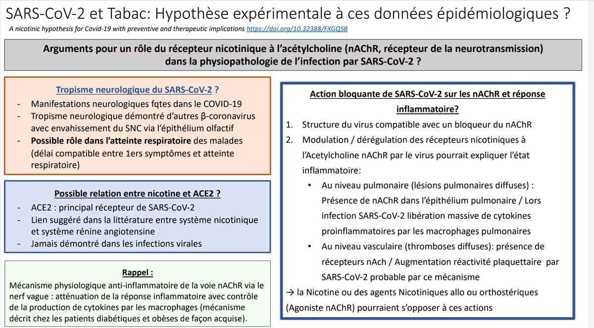 Cyril Quemeneur (@_lirycs_) on Twitter photo Le Masque et La Plume du jour: Rein et Covid-19, Tabagisme et Covid-19 et explication de l'hypothèse expérimentale Nicotine et SARS-CoV-2
#Covid_19 #Nicotine
<a href="/SFAR_ORG/">SFAR Anesthésie Réanimation</a>
<a href="/SFARJeunes/">SFAR Jeunes</a>
@ArTi_FiCieL <a href="/dr_manuweiss/">Emmanuel Weiss</a> <a href="/grigoreskaia/">Benedicte Grigoresco</a> <a href="/stephsig/">Stéphanie Sigaut</a> <a href="/DefayeMylene/">Defaye Mylene</a>
Lien:sfar.org/download/le-ma… Le Masque et La Plume du jour: Rein et Covid-19, Tabagisme et Covid-19 et explication de l'hypothèse expérimentale Nicotine et SARS-CoV-2
#Covid_19 #Nicotine
<a href="/SFAR_ORG/">SFAR Anesthésie Réanimation</a>
<a href="/SFARJeunes/">SFAR Jeunes</a>
@ArTi_FiCieL <a href="/dr_manuweiss/">Emmanuel Weiss</a> <a href="/grigoreskaia/">Benedicte Grigoresco</a> <a href="/stephsig/">Stéphanie Sigaut</a> <a href="/DefayeMylene/">Defaye Mylene</a>
Lien:sfar.org/download/le-ma…