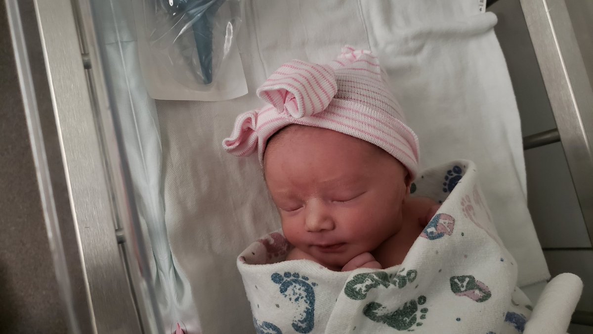 TheDoddVentures's tweet photo. Introducing our little Hailie into the world 4/22 at 3:40am! All 5 pounds 13 ounces of her! @MixingTheMagic and I are so happy she is here! We love you so much Hailie! 💕💙💖 https://t.co/FdkpSbx5uW