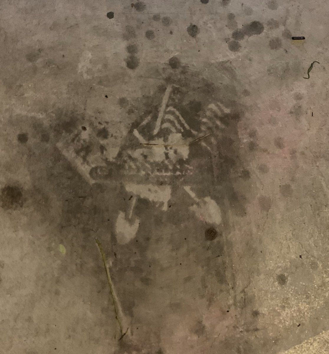 Aftermath...<a href="/F3Charleston/">F3 Charleston</a> <a href="/F3LexSC/">F3 Lexington SC</a> @F3GrowRuck