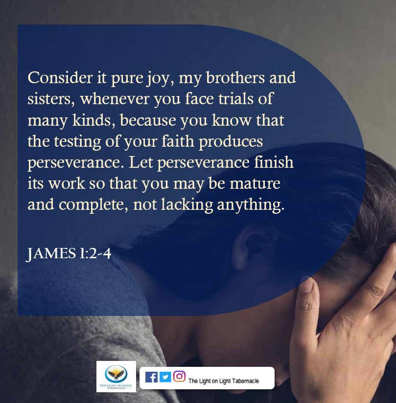 LightonLightTab's tweet photo. #PureJoy
#Peseverance
#Patience
#ThisIsLightOnLight https://t.co/os8OkfQlu1