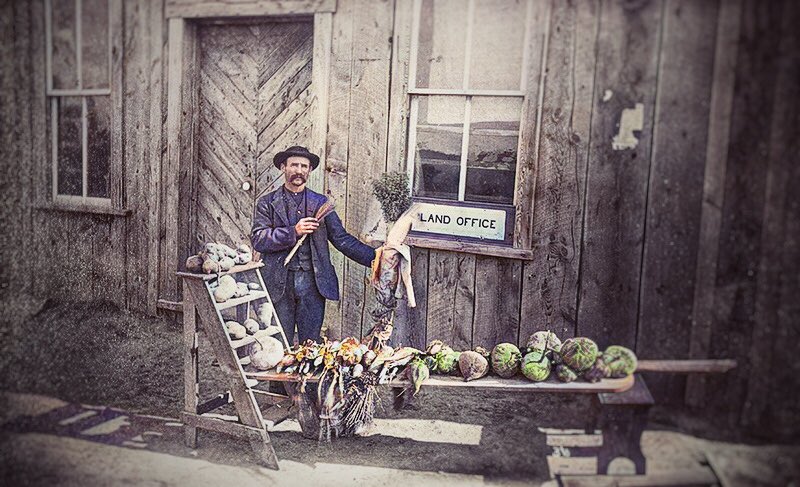 The settler life in early Alberta.