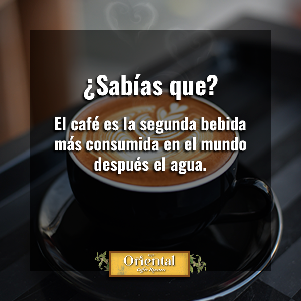 cafeoriental's tweet photo. ¿Tú cuántas tazas de café tomas al día? https://t.co/sWYQ03Fib8