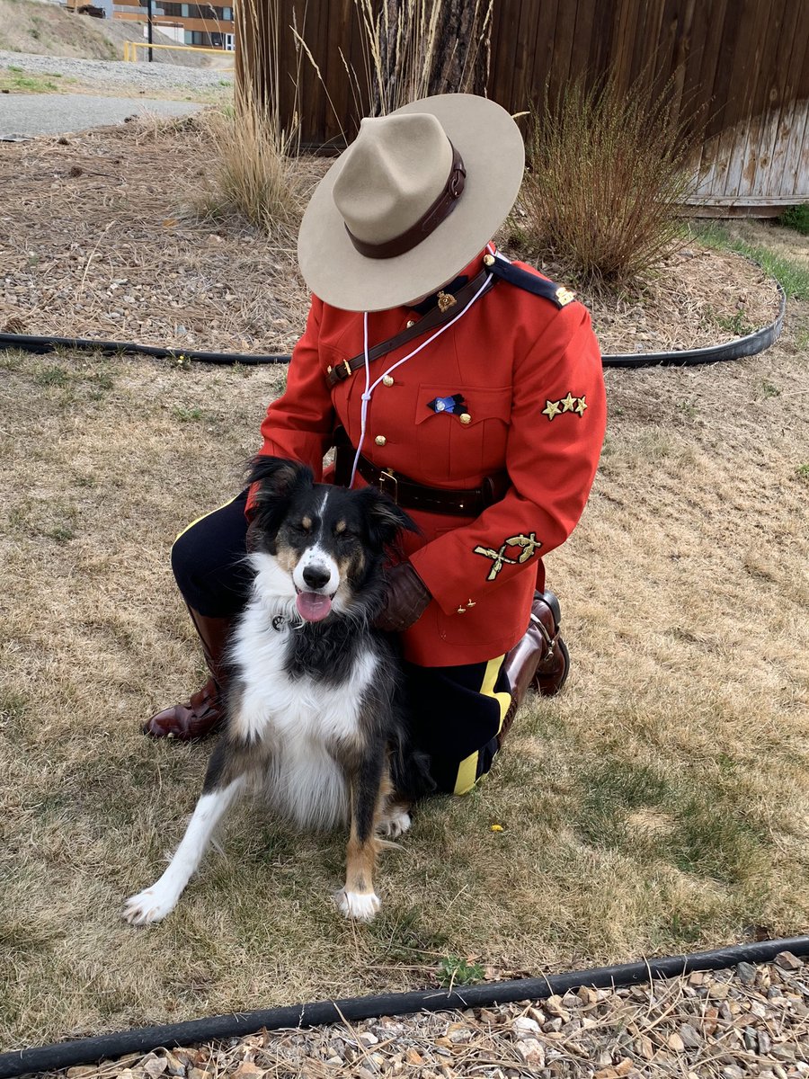 Vickie Taylor tweet media