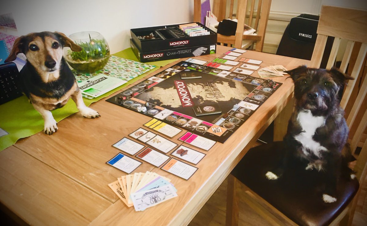 thehollinslancs's tweet photo. After a hard day of home schooling Chloe and Oscar are relaxing with a game of #Monopoly @MonopolyUK  - Games of Thrones style! Make sure you relax over the weekend! #staffdogs https://t.co/xmLBXm3p7f