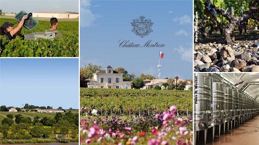 WineBusinessC's tweet photo. Célébrons les vignerons que nous avons eu le plaisir de recevoir lors des soirées @WineBusinessC  !
Nous terminons cette semaine en beauté avec ce magnifique vignoble de la région Bordelaise ! 😍🌈
#vin #winebusinessclub #celebronsnosvignerons  @ChateauMontrose #vignoblebordelais https://t.co/0x6dx8abd2