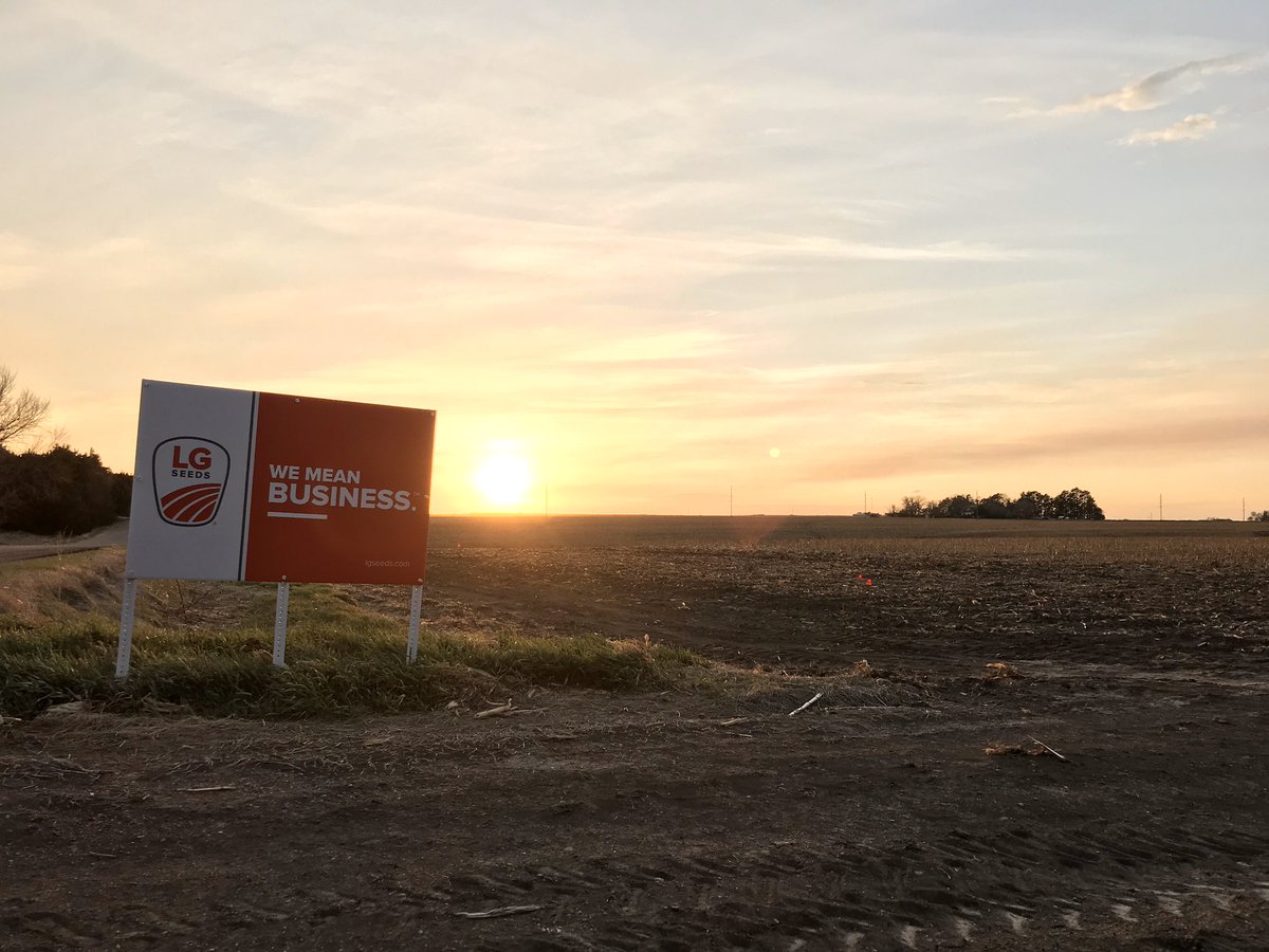 AlecFrisell's tweet photo. Sun setting on a freshly planted @LGSeeds plot @Alec_Sindt #FastTrackSeed #plant2020 #WeMeanBusiness https://t.co/7uzkVBbTBj