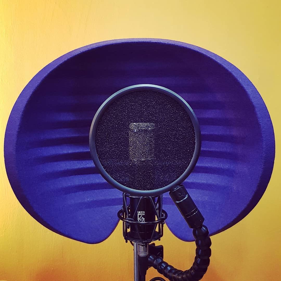 LautenAudio's tweet photo. Keep absolutely still. Its vision’s based on movement. 
•
•
#LautenAudio #Music #SiliconValley #California #Studio #Recording #HomeStudio #Artist #FamilyOwned
#microphone #la320 https://t.co/NNYATlMfro