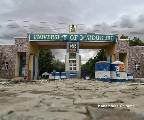4. University of Maiduguri.