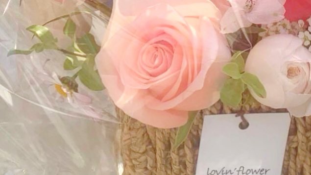 fappon ✿ close tweet media