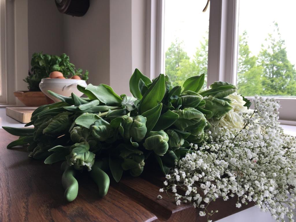 Squirrels Interiors tweet media