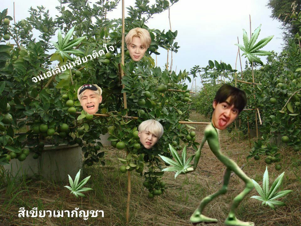 สมด๋อย tweet media