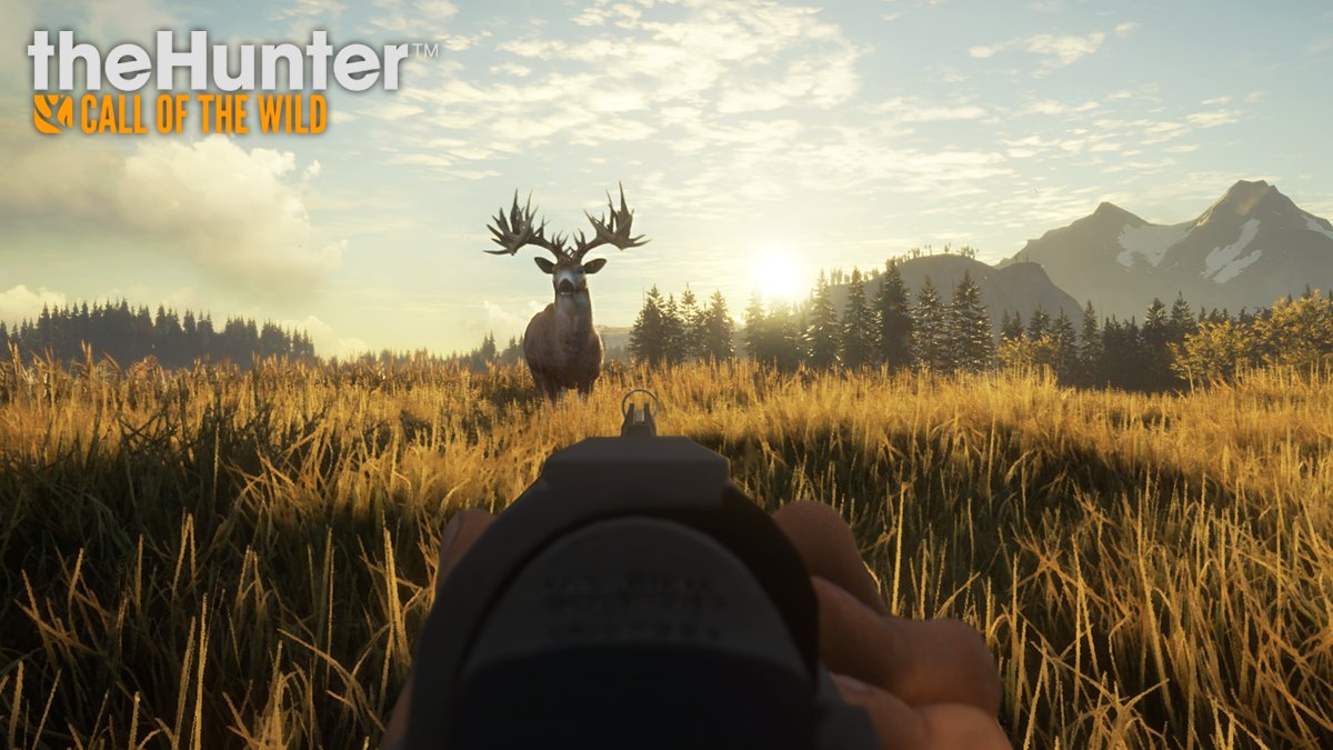 How long is The Hunter: Call of the Wild?